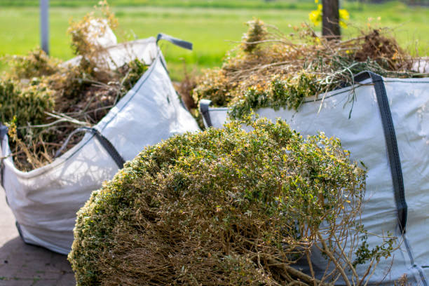 Best Full-Service Junk Removal  in Rutledge, TN